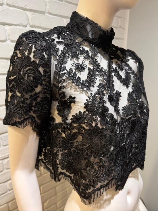 Stone Cold Fox Black Embroidered Lace Crop Top M Mock Neck Sheer Luxe NWOT - Picture 5 of 13